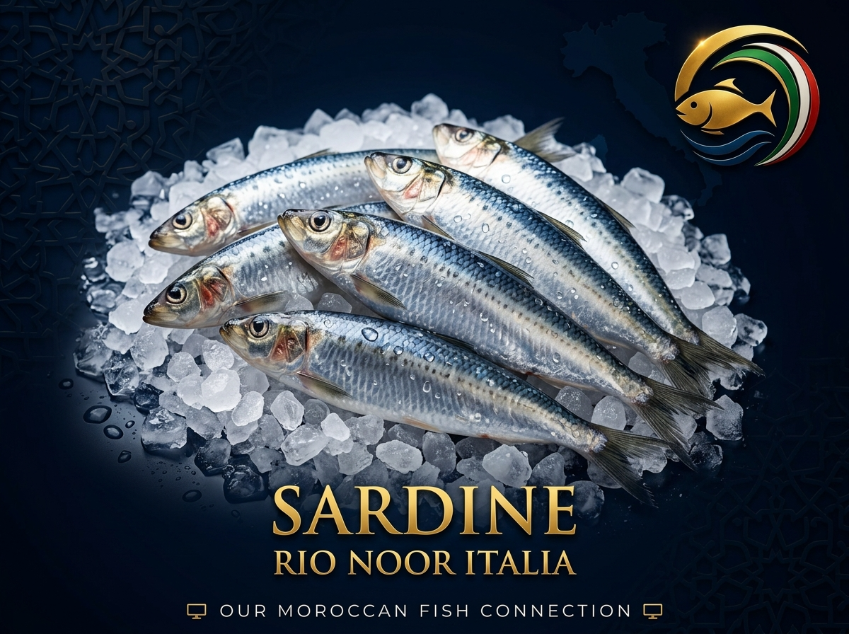 Sardine
